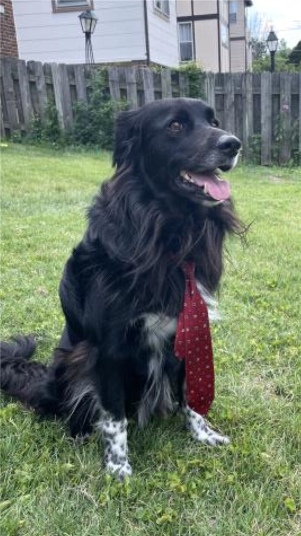 /Images/uploads/Mid County Chamber of Commerce/pet-mayor-2022/entries/24690thumb.png